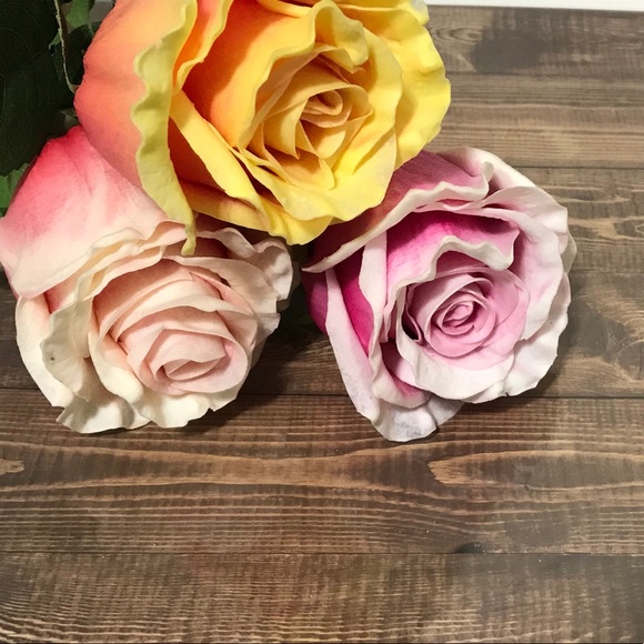 Meet your Posher, Alaa - Picture 1 of 1